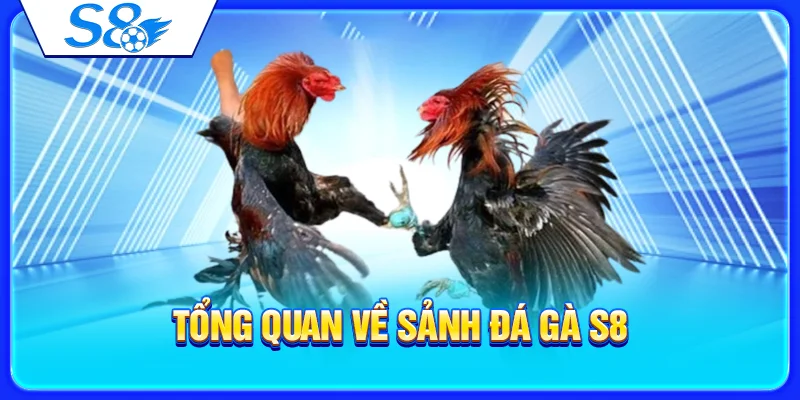 Tổng quan về sảnh đá gà S8